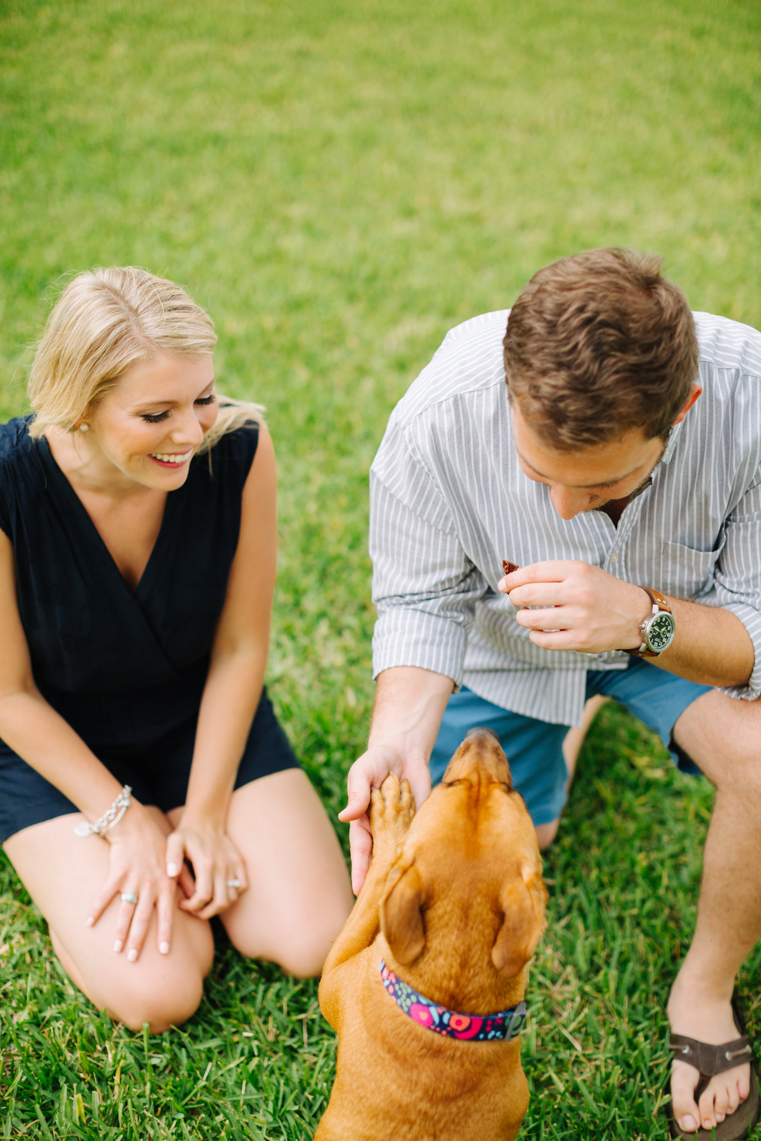 tampa florida at home engagement session