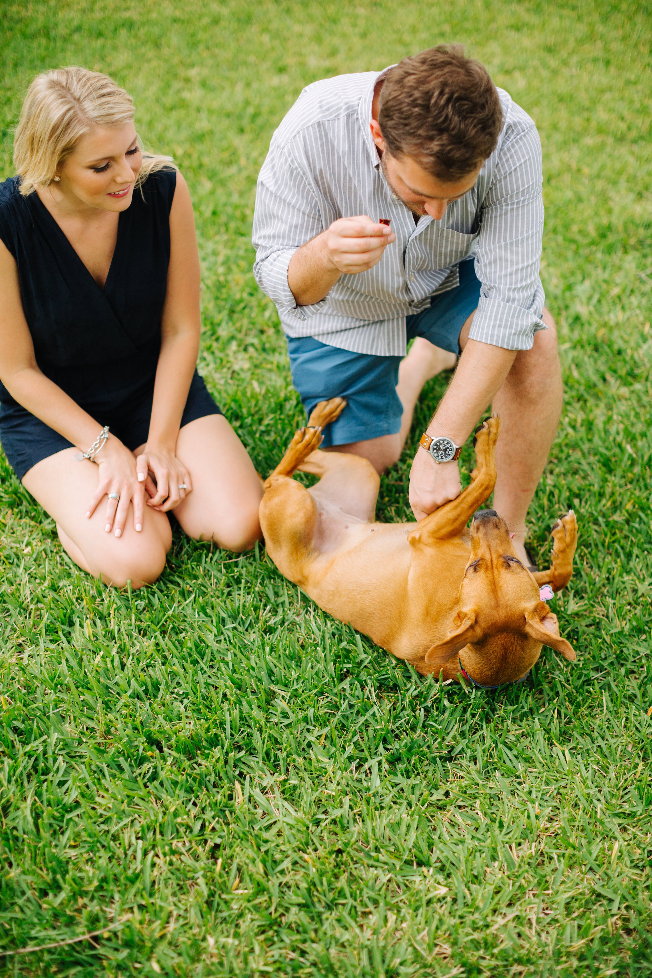 tampa florida at home engagement session