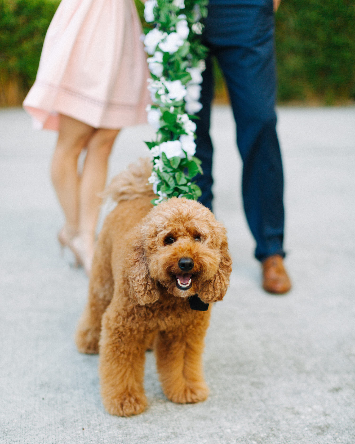 Miguel & Danielle - Engagement - Jake & Katie Photography_031.jpg
