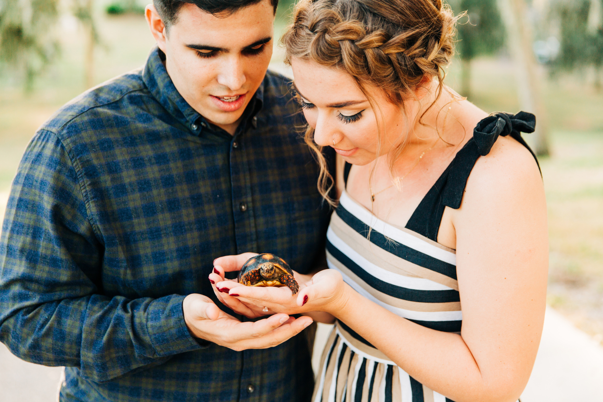  philippe park engagement session, clearwater engagement session, tampa wedding photographer 