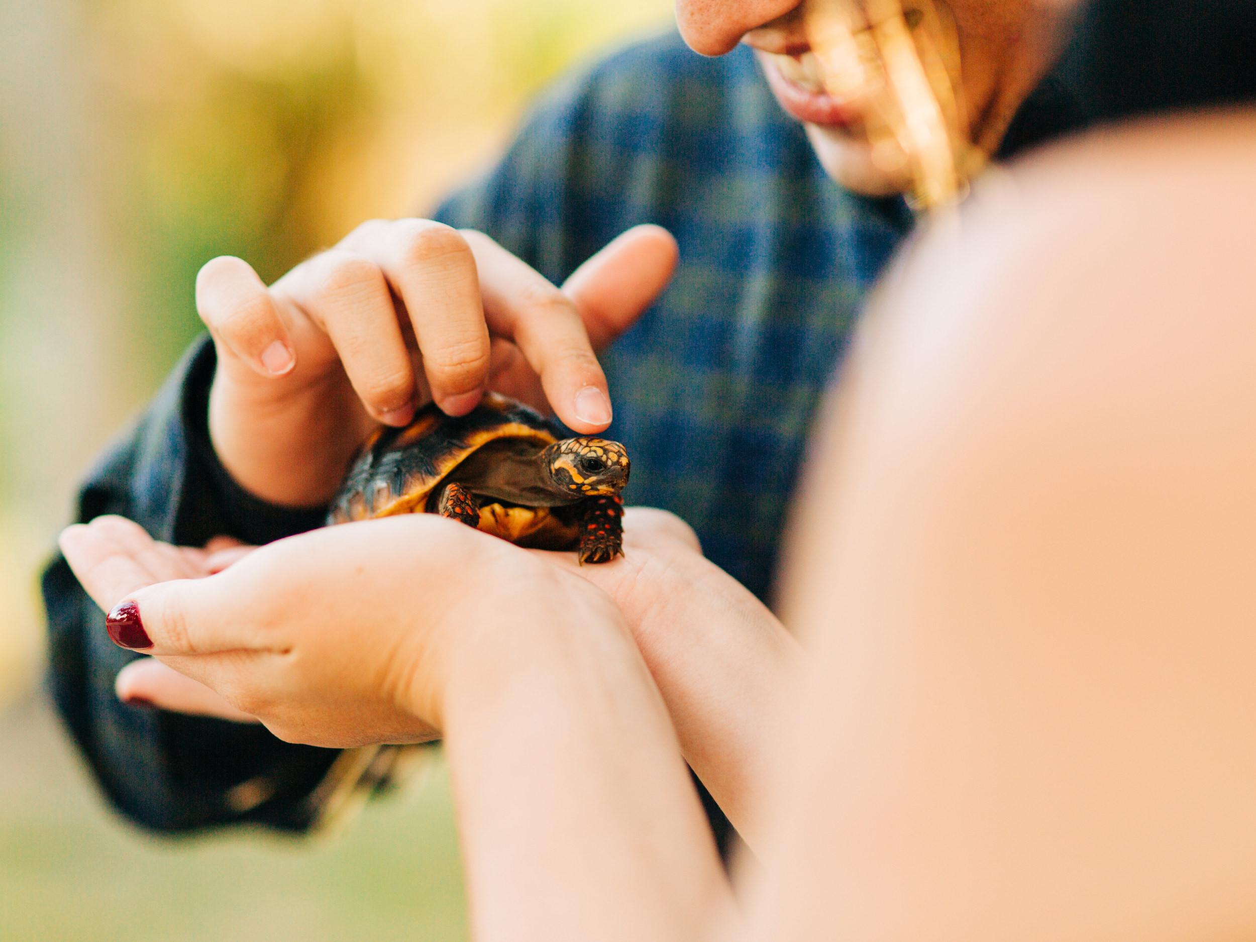 philippe park engagement session, clearwater engagement session, tampa wedding photographer