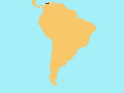 CottonTopTamarin.jpg