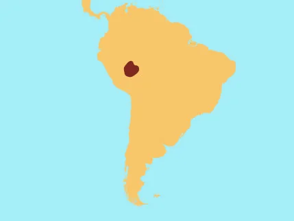 EmperorTamarin.jpg