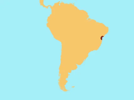 GoldenLionTamarin.jpg