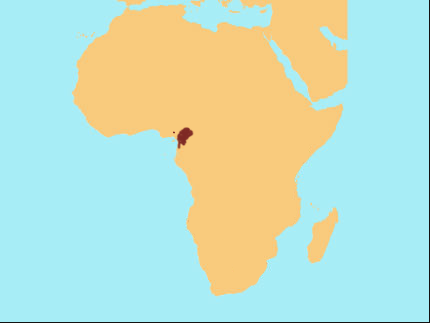 gorilla.png