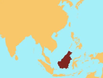SilverGibbon.jpg