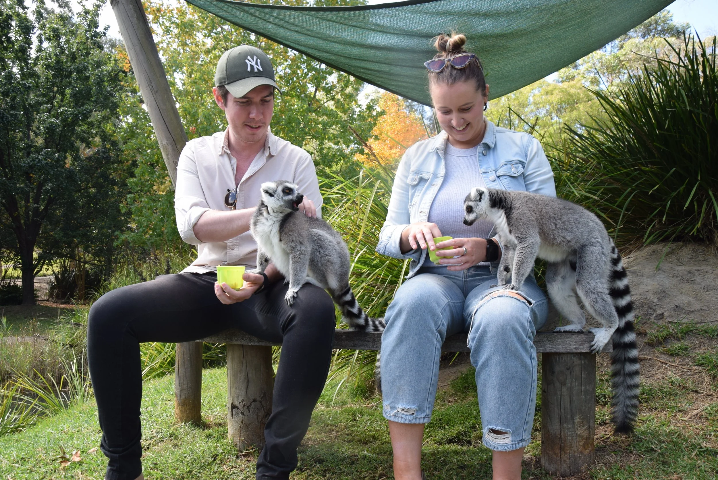 Animal Encounters Up Close & Personal — Mogo Wildlife Park NOW OPEN