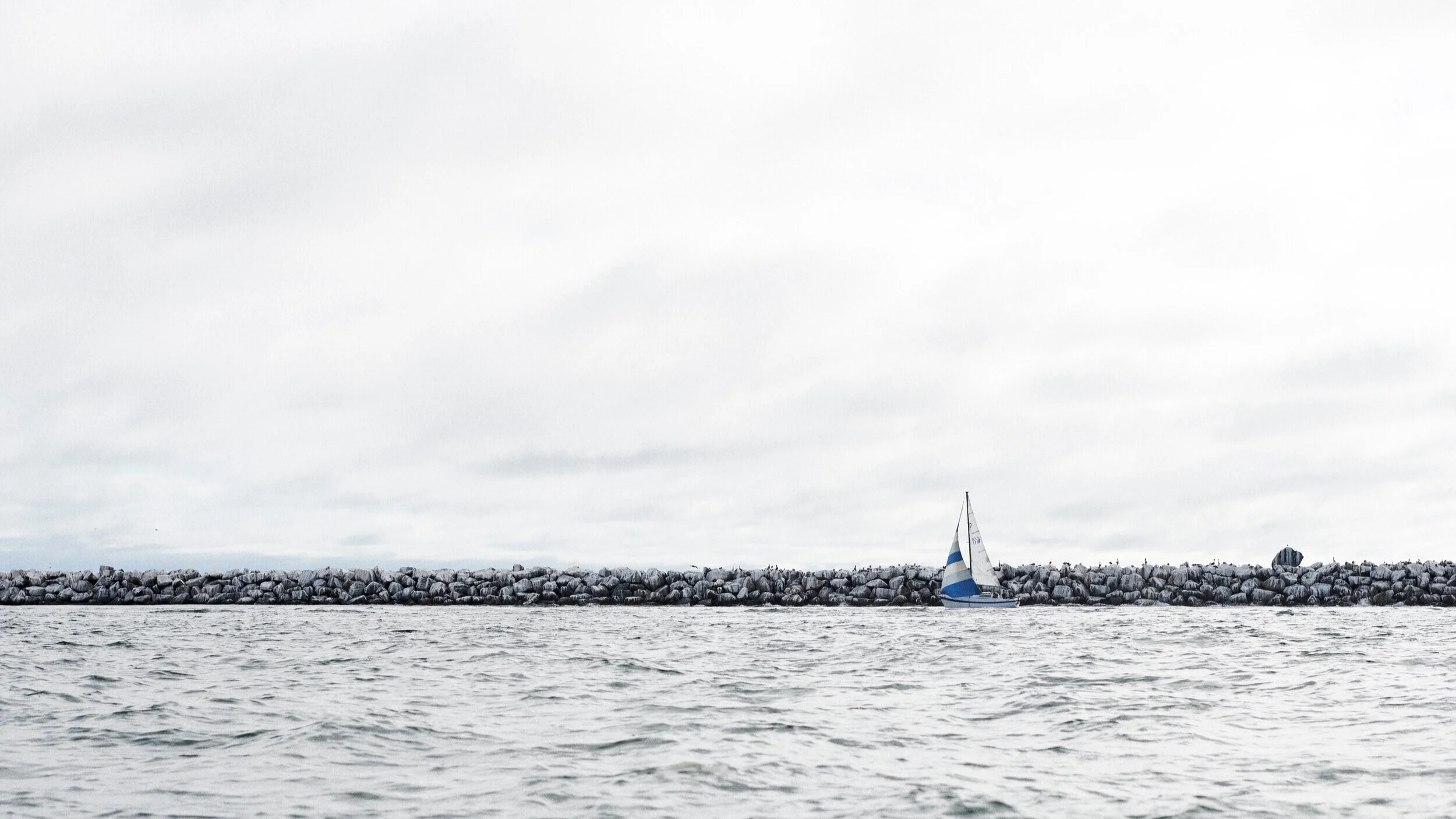 Sail+CDI+-+Julien+Roubinet+3.jpg