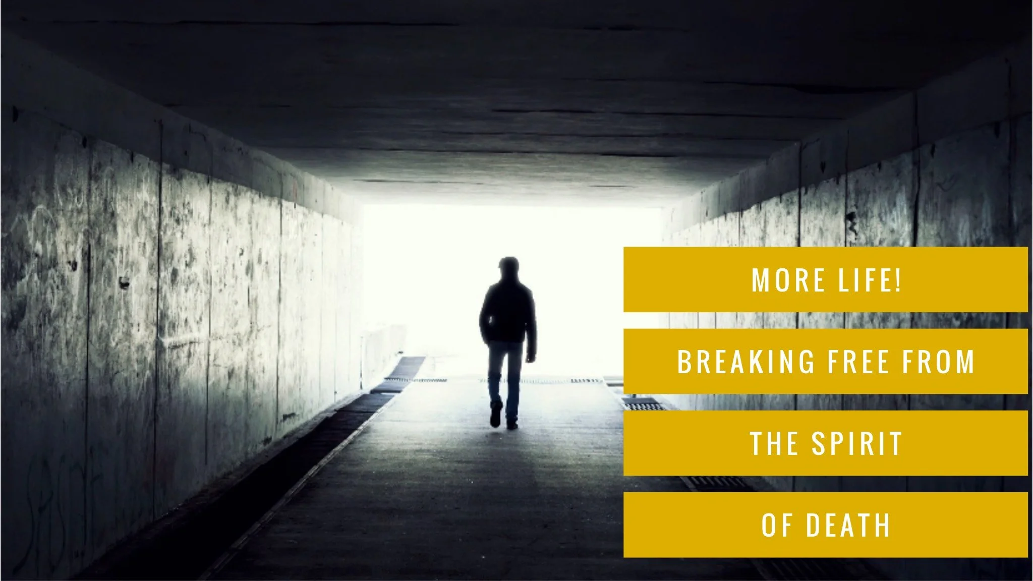 More Life!  Breaking Free From the Spirit of Death Online Seminar (Copy)