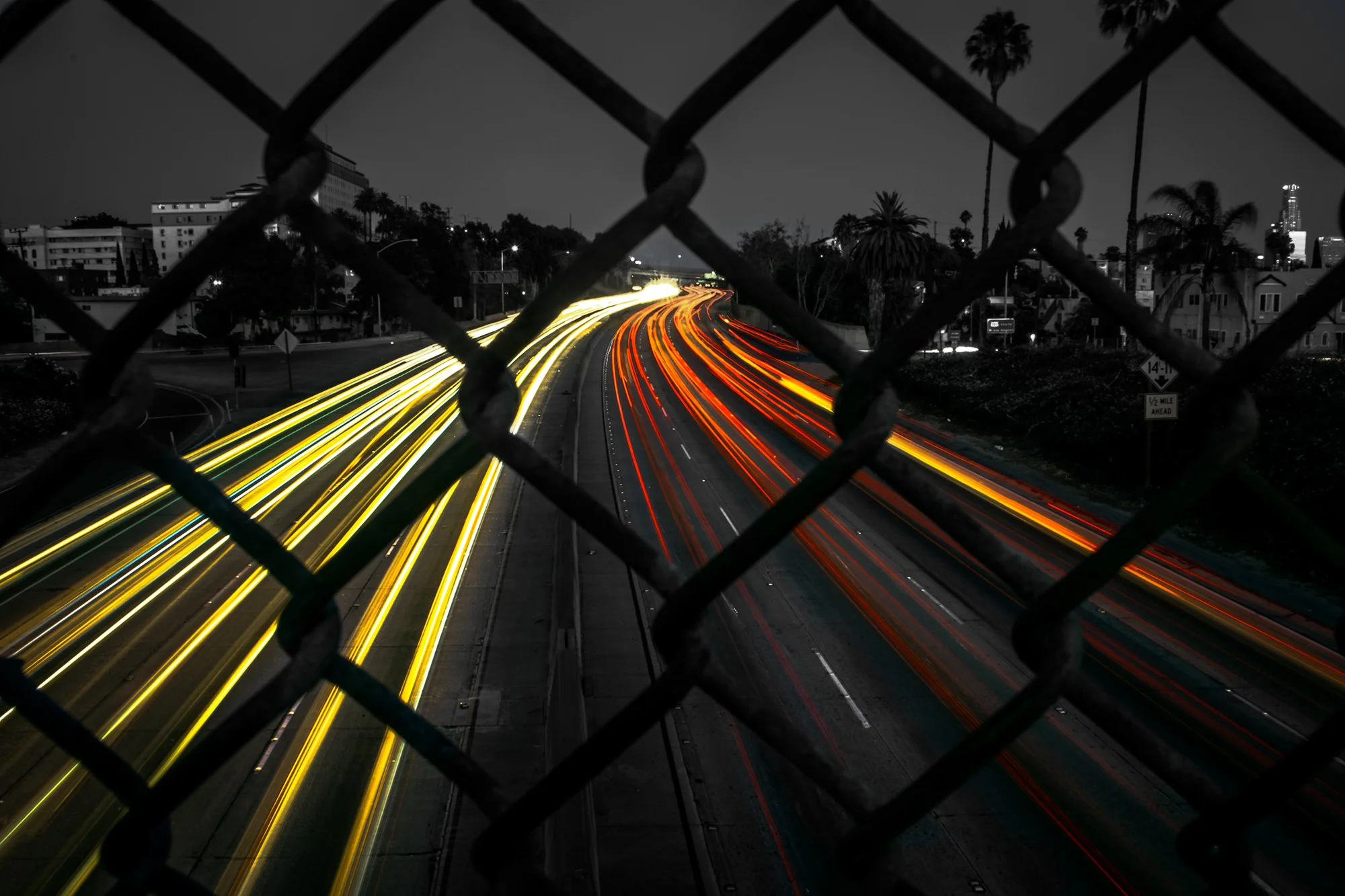 DTLA.jpg