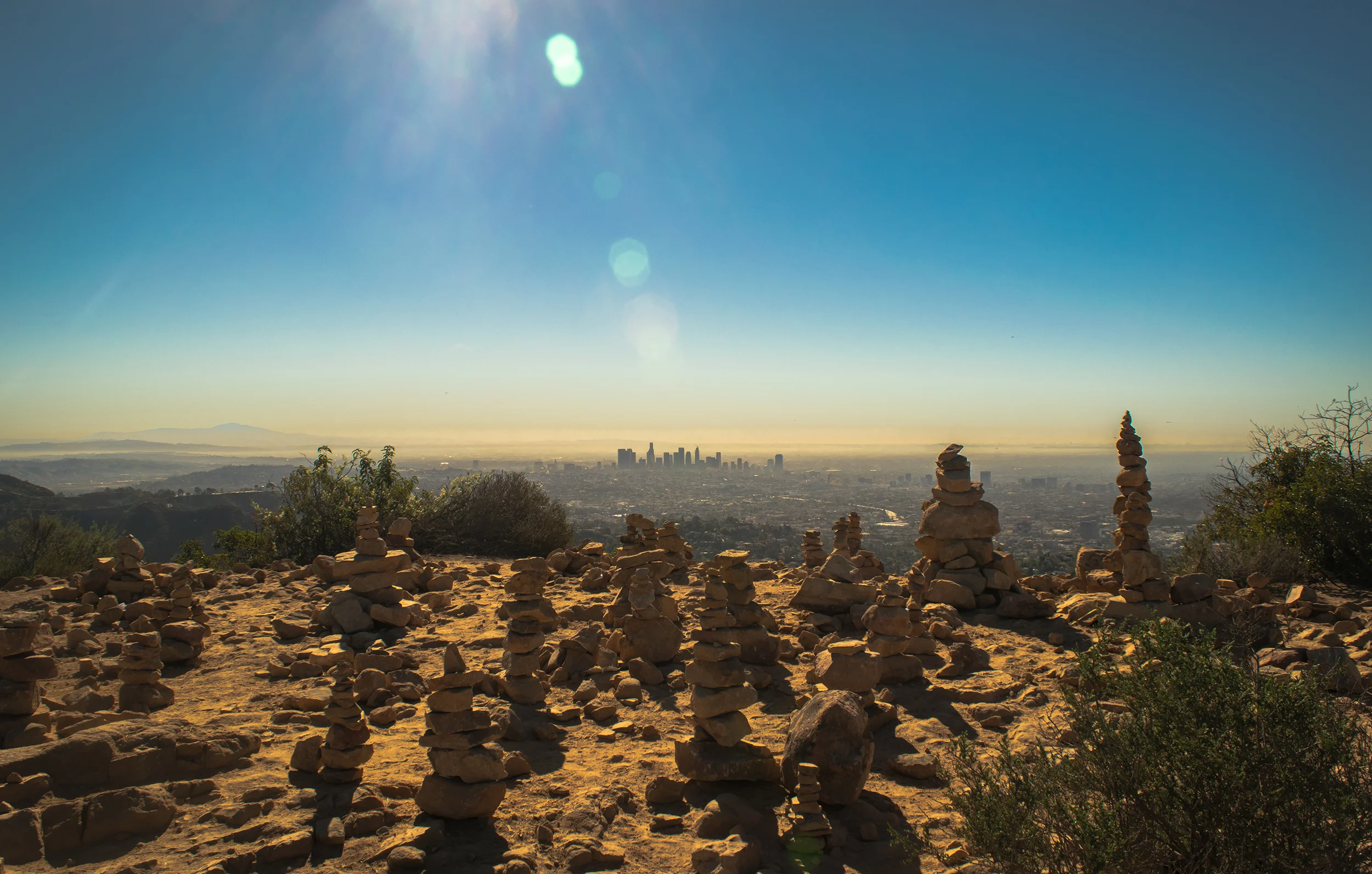 Wisdom-Tree-Rocks.jpg
