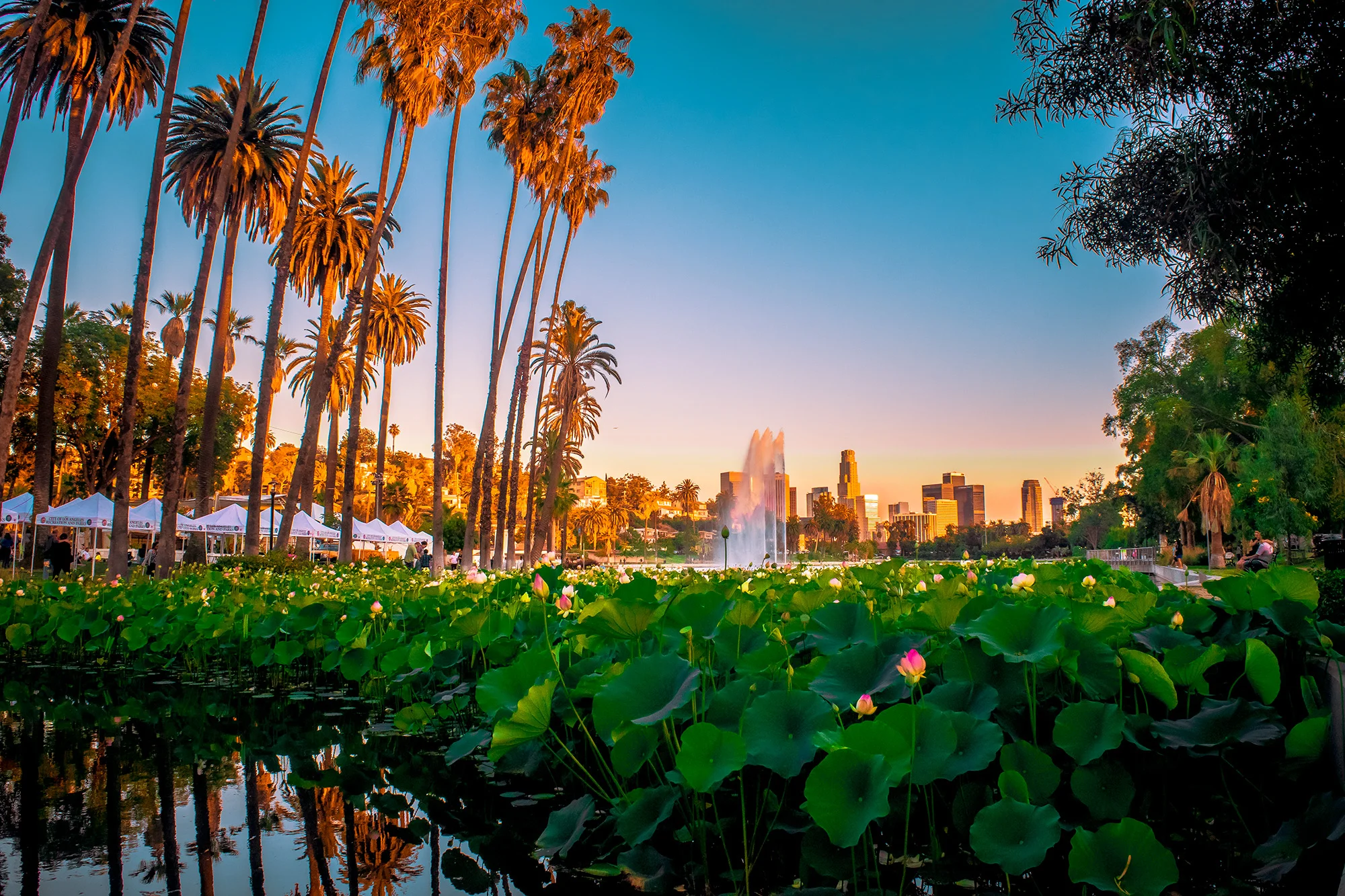 Echo-Park-Type.jpg