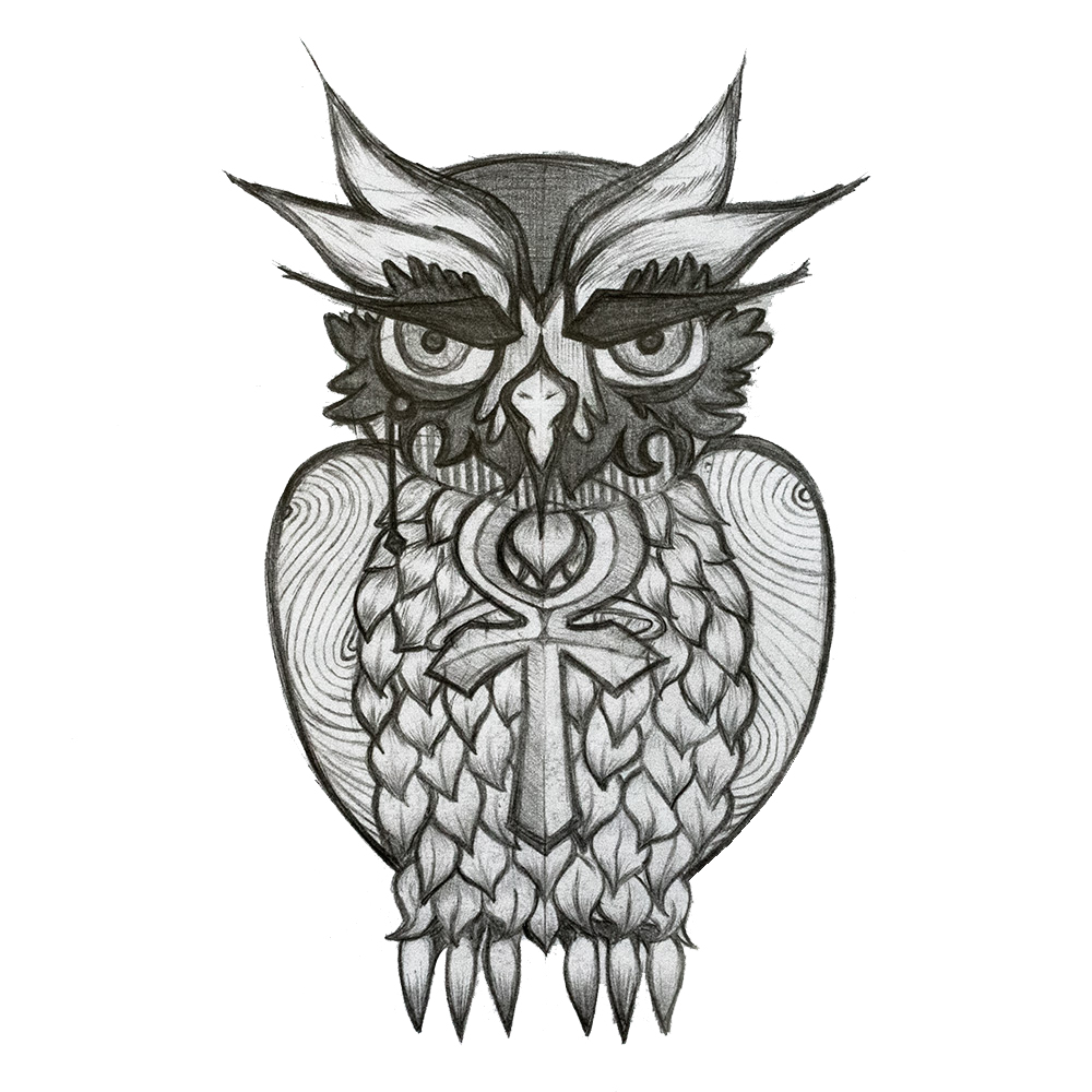 Owl.jpg
