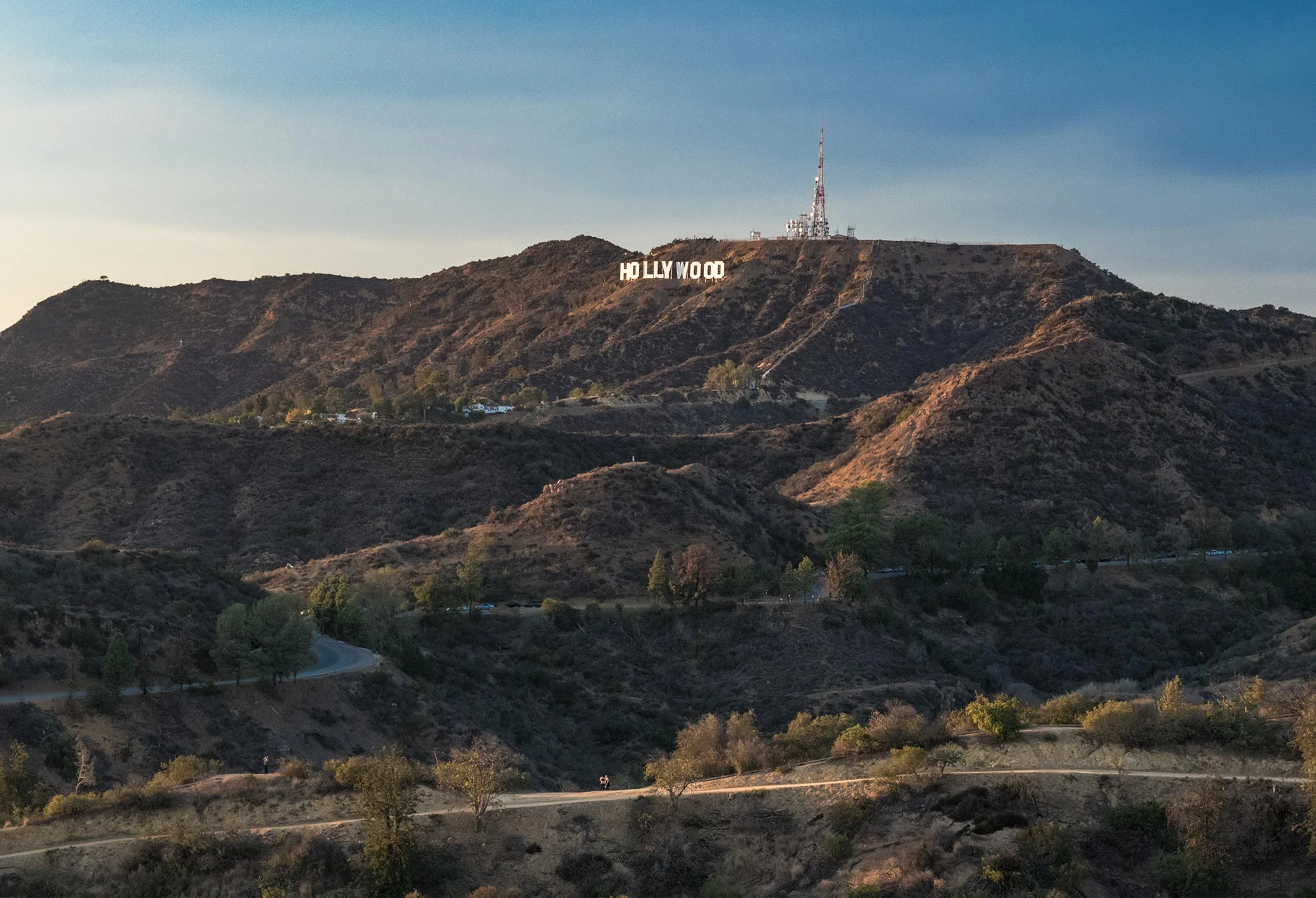 Griffith-Hollywood.jpg