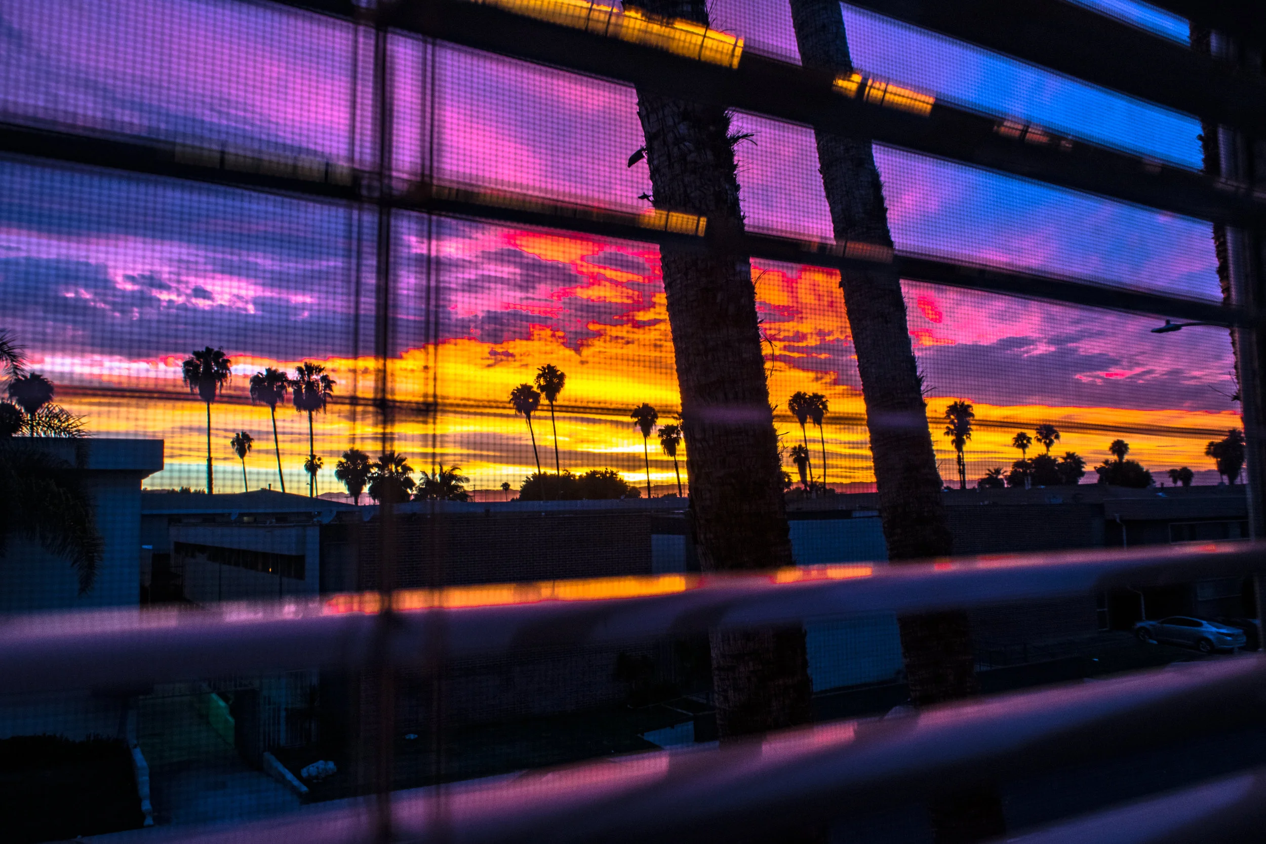 Window.jpg