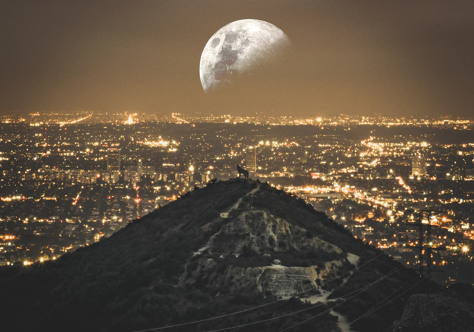 Runyon Canyon at night