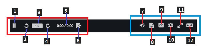 Vid Player Buttons.jpg