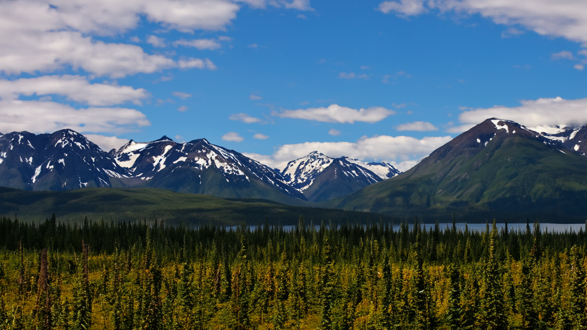 image_03.png