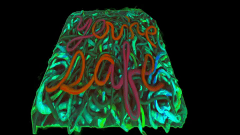 giphy (11).gif