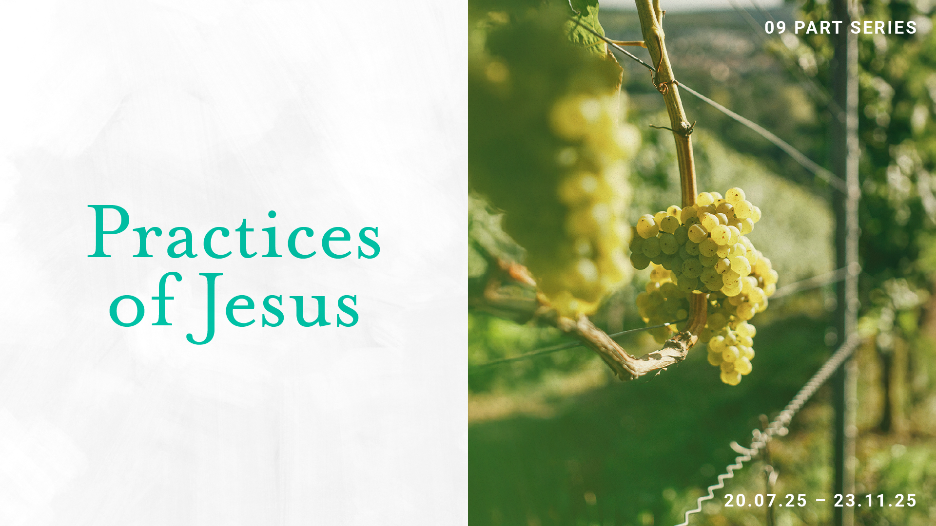 2507 Practices of Jesus Series_web.png