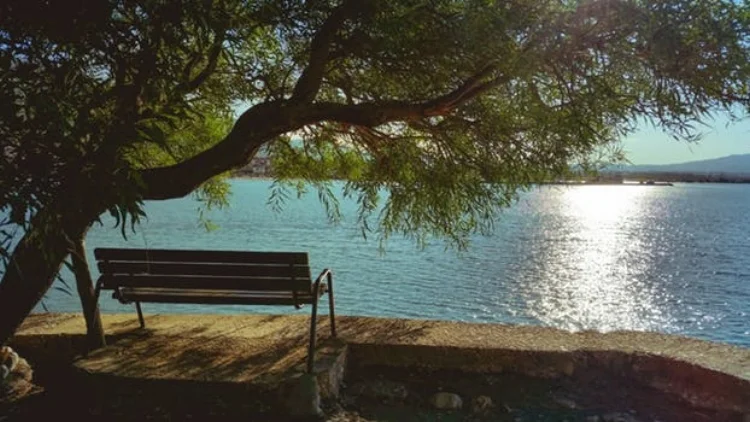 Written by Michelle Noble, Executive Director of A Haven