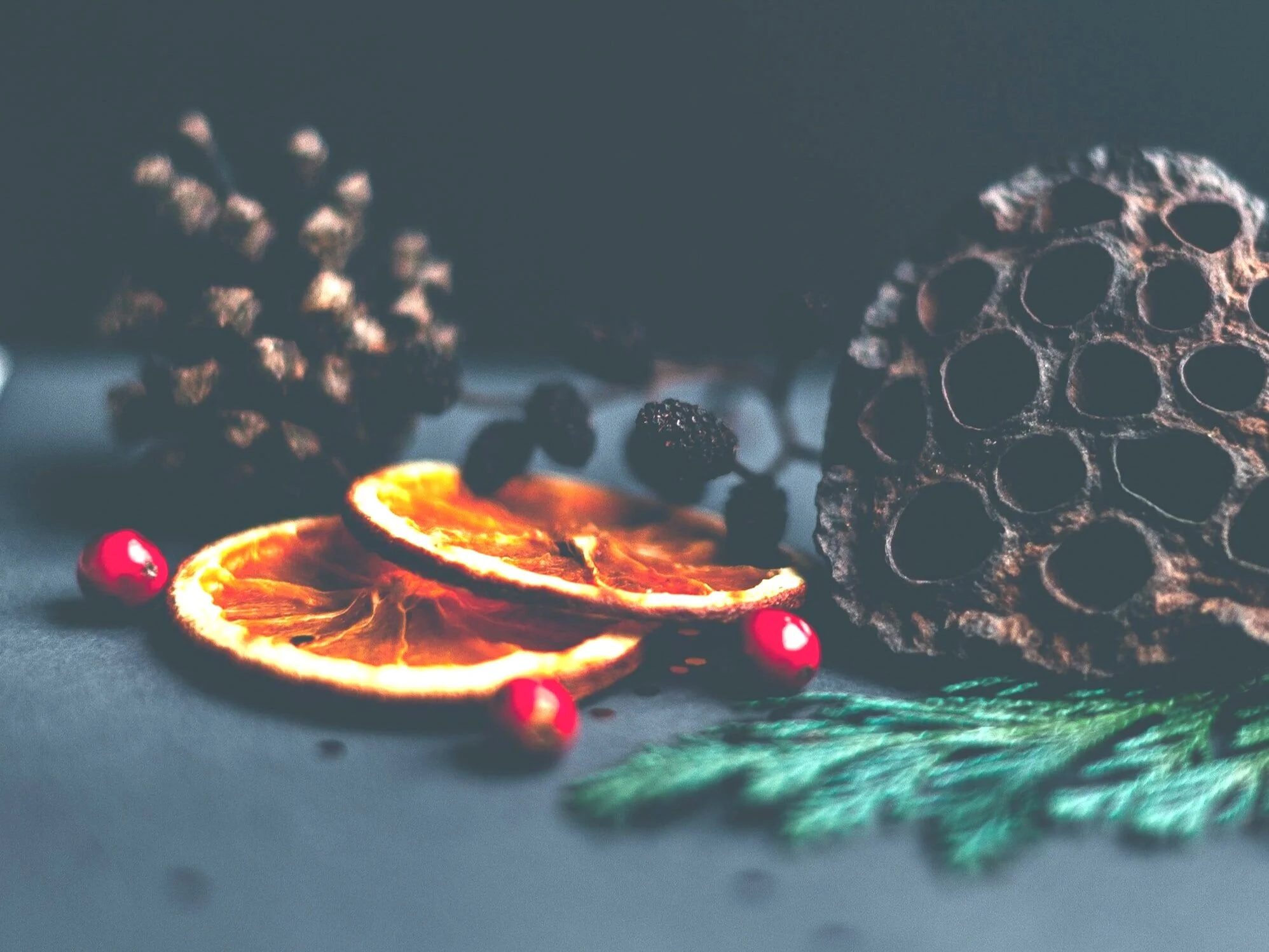 Navigating the Holidays – Thoughts from A Haven Families