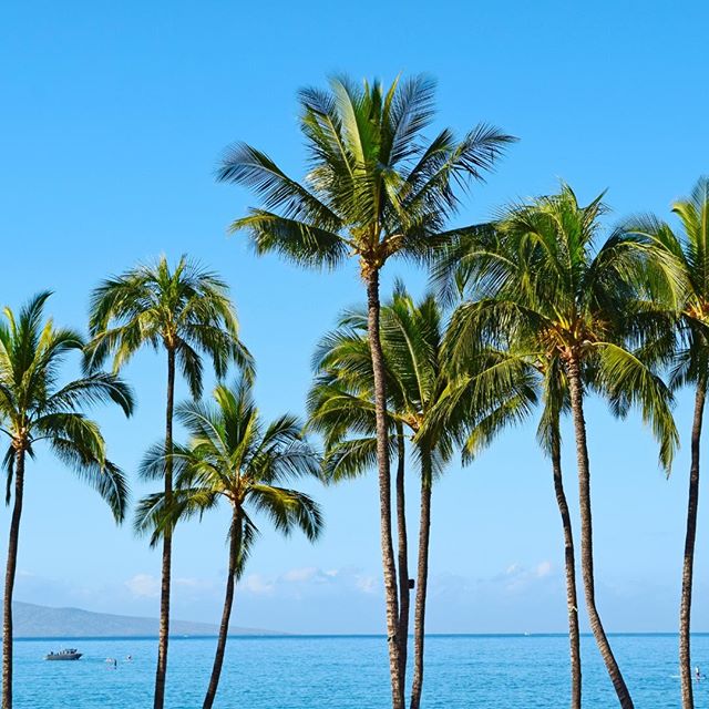With scenery like this, why would you want to go anywhere else? Happy #AlohaFriday! 🌴🌴🌴⠀
.⠀⠀⠀⠀⠀⠀⠀⠀
.⠀⠀⠀⠀⠀⠀⠀⠀
.⠀⠀⠀⠀⠀⠀⠀⠀
.⠀⠀⠀⠀⠀⠀⠀⠀
.⠀⠀⠀⠀⠀⠀⠀⠀
#travelgram #igtravel #worldtraveler #travelbug #worldly #destination #adventure #thegoodlife #mauinokaoi #i