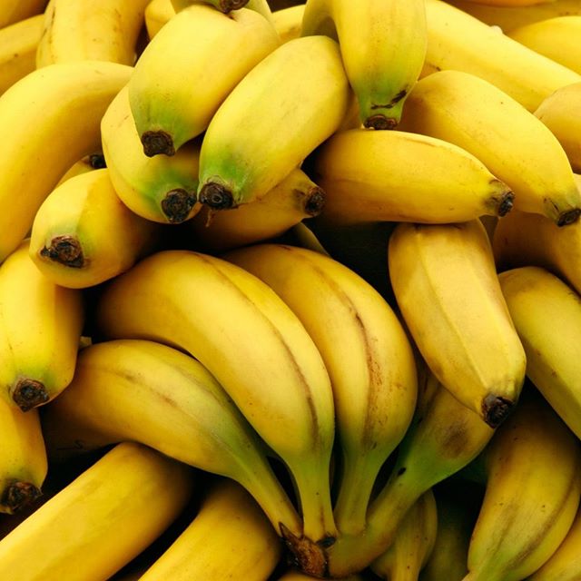 Are they baby bananas or something different altogether? 🍌 These delicious apple bananas are plentiful on Maui, and one bite might just get you hooked. Just another reason to come and stay with us!⠀
.⠀⠀⠀
.⠀⠀⠀
.⠀⠀⠀
.⠀⠀⠀
.⠀⠀⠀
#travelgram #igtravel #wo