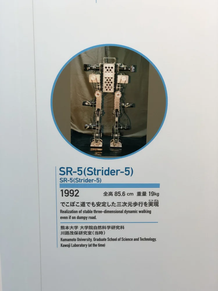 19 10 Odaiba 台场 Lone Wanderer