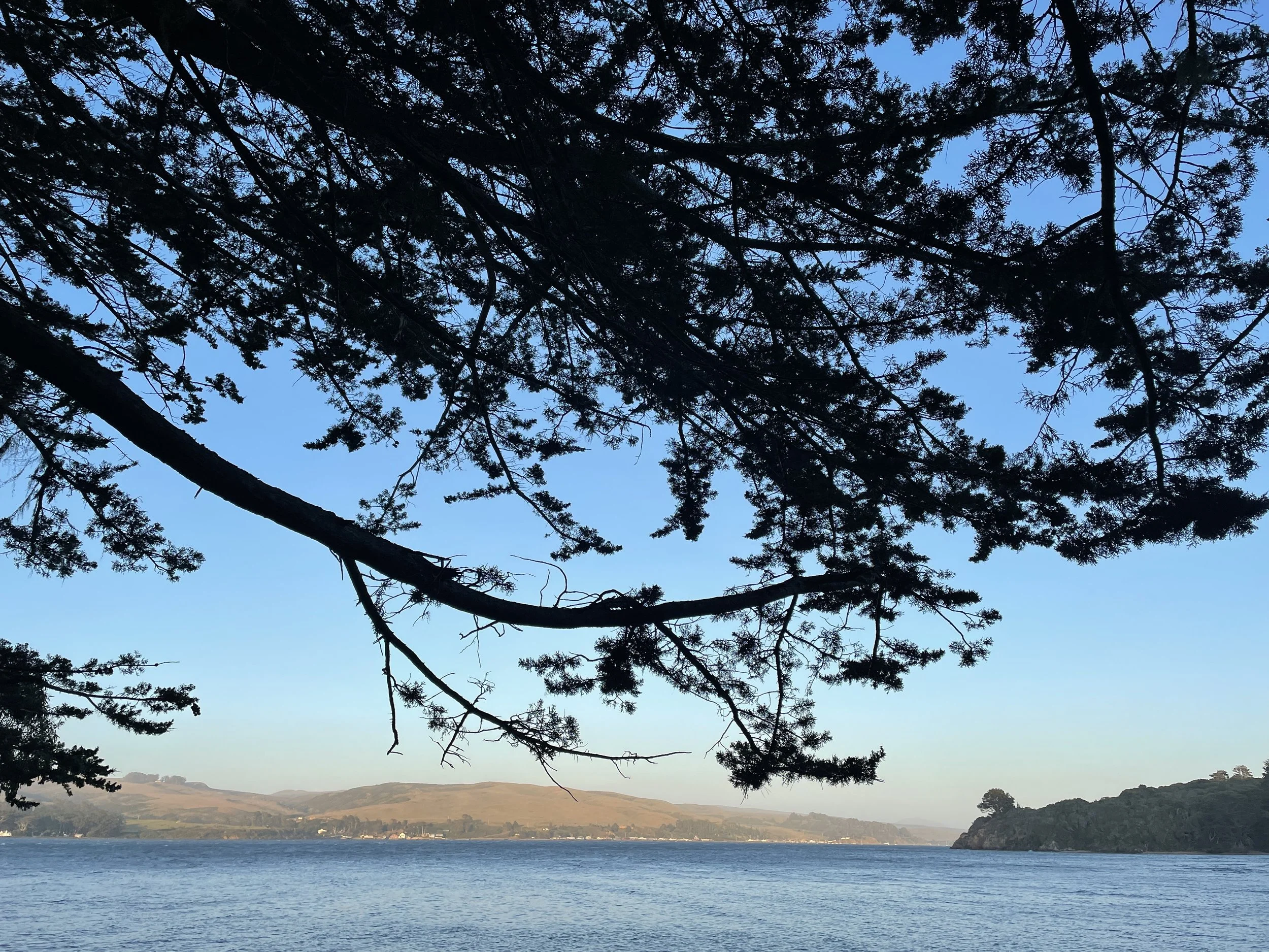 2022-06 Tomales Bay Kayak Camping`