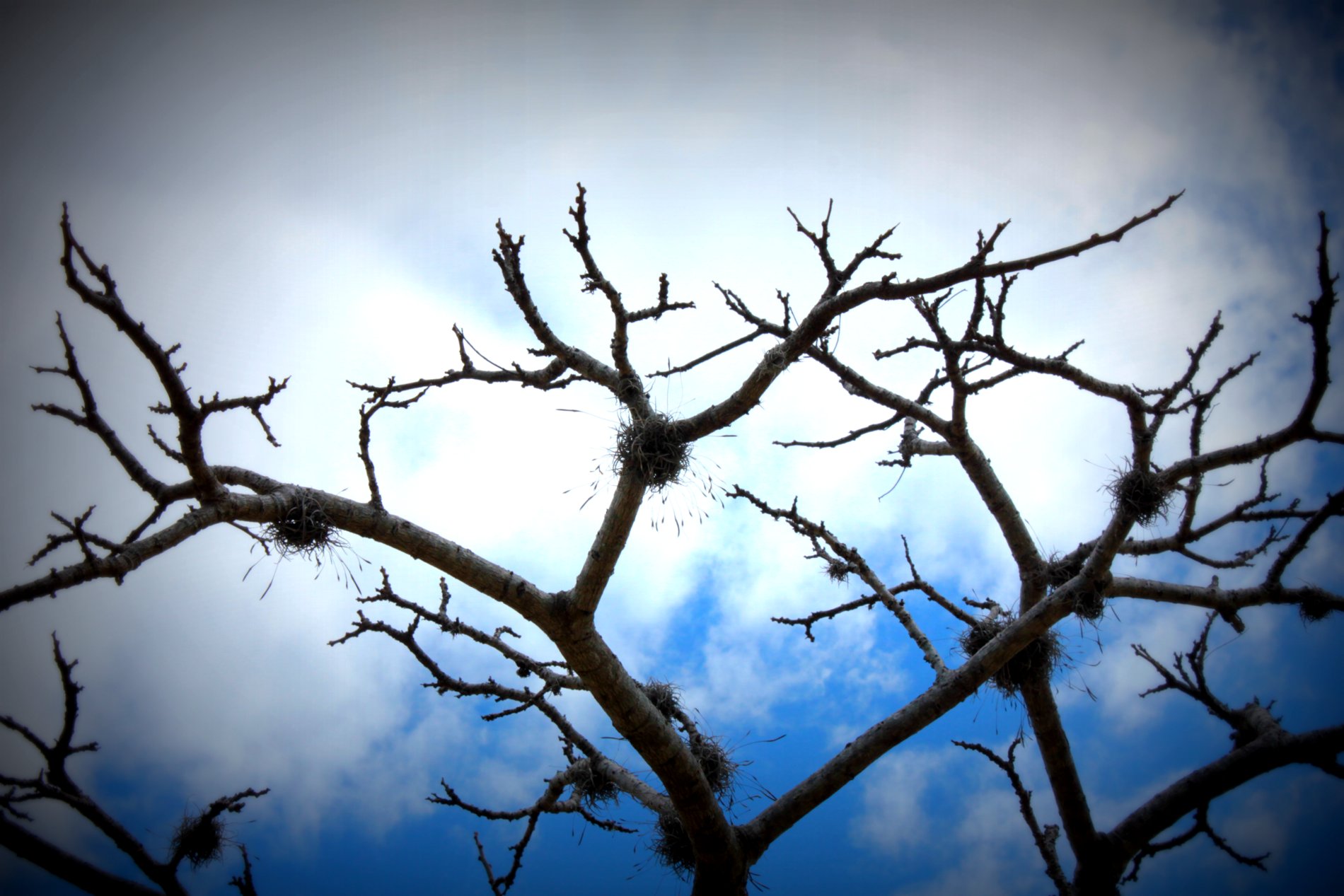 Drama etched in the Oaxacan sky