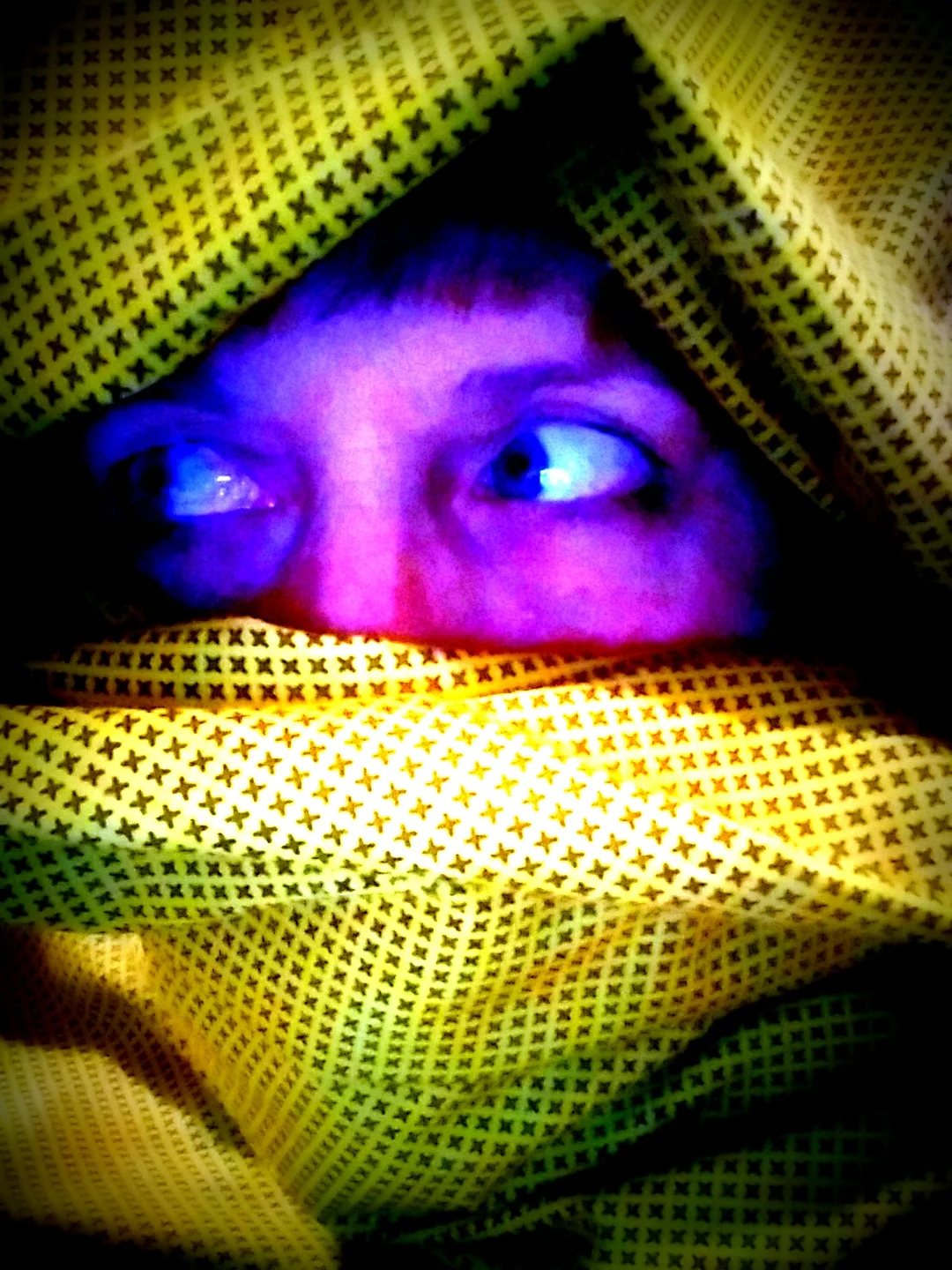 Shhh! I went undercover to buy the whole bolt of this fabric to split among my friends!