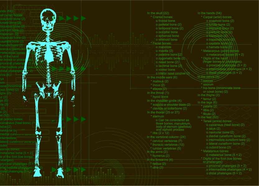 Developing an application skeleton is a bone of contention