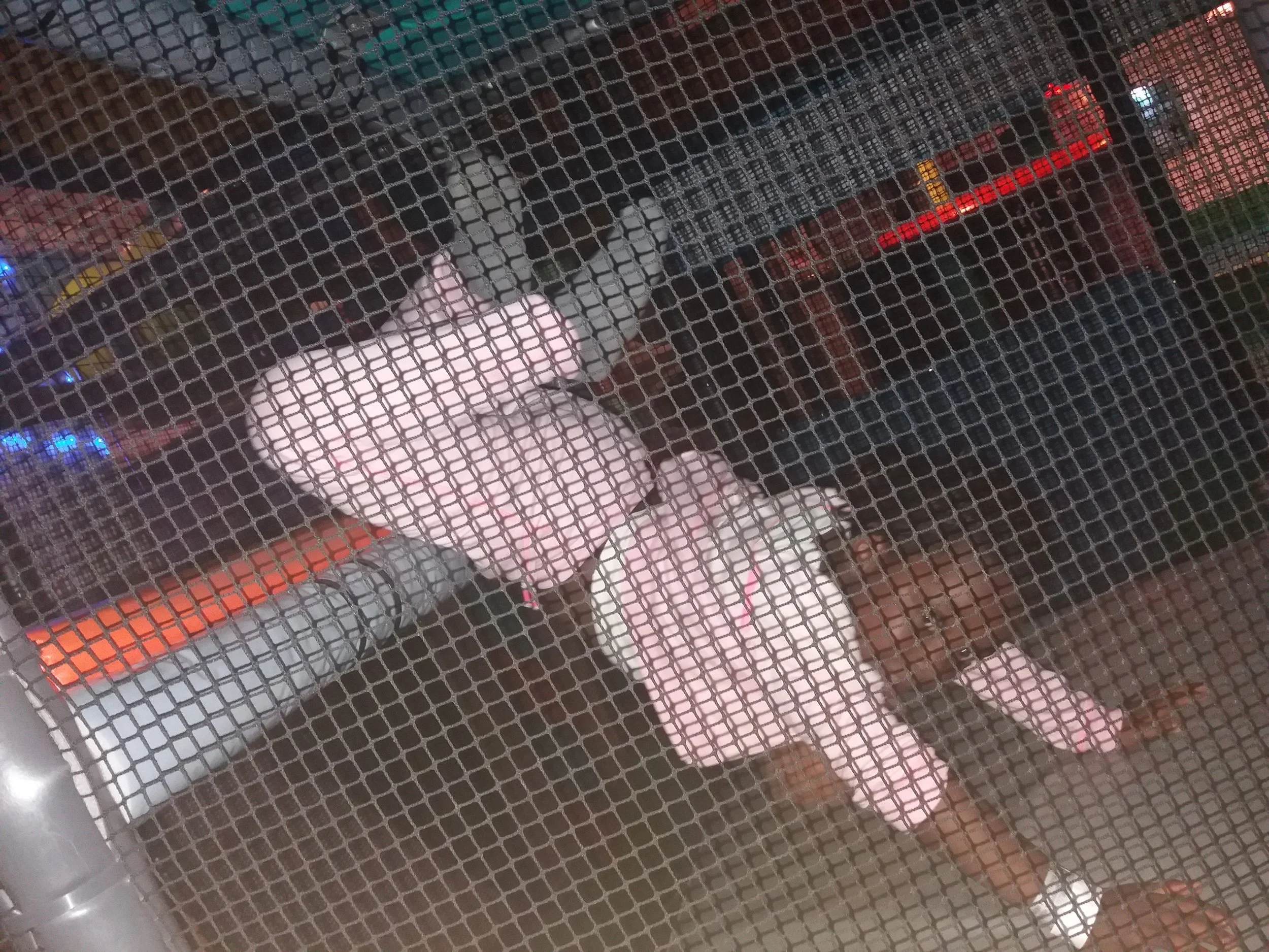 20170728_160329.jpg