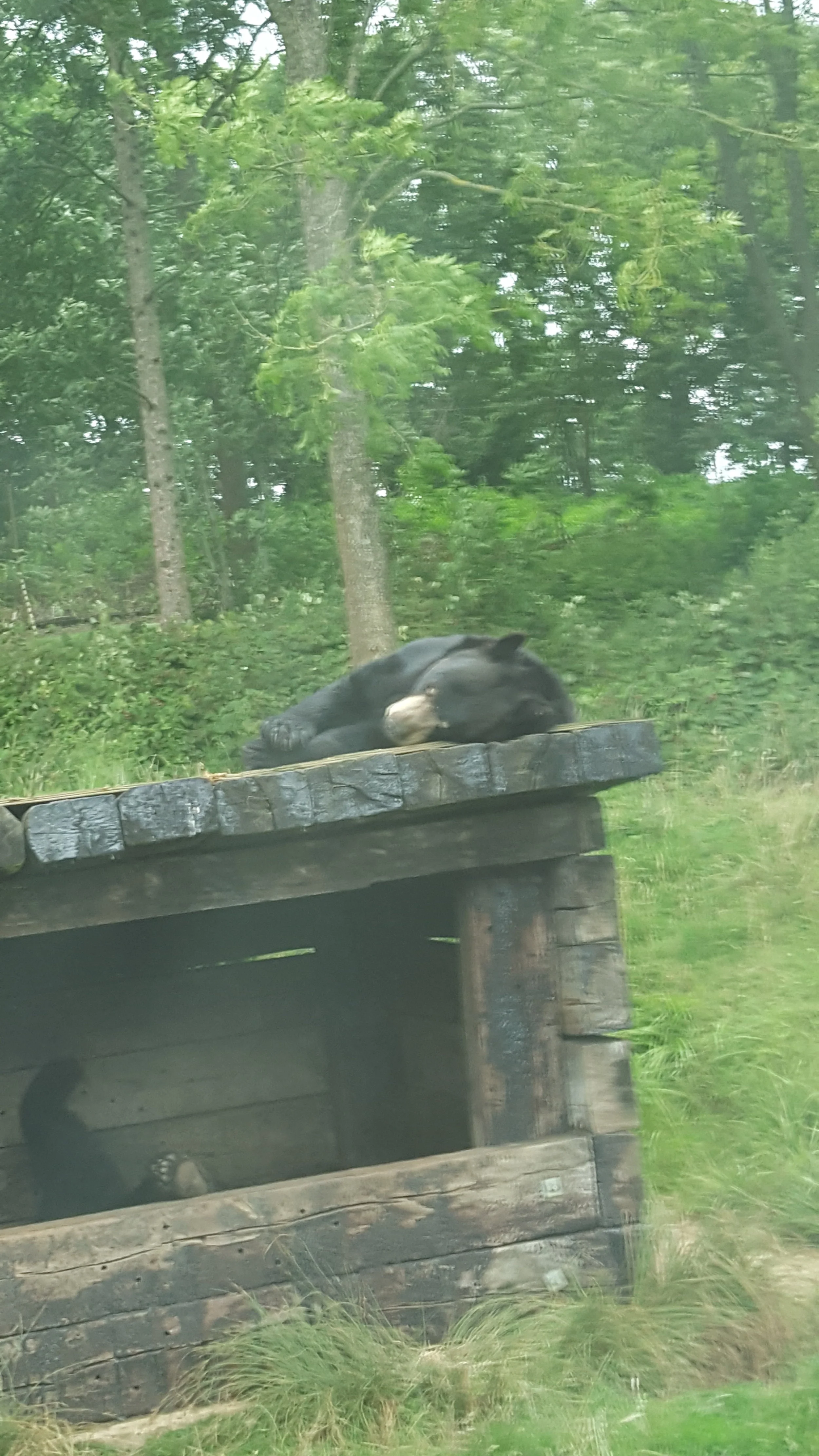 20170804_120841.jpg