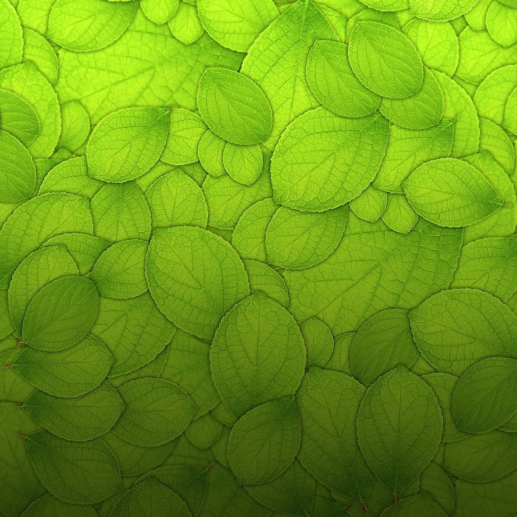 kratom-wallpaper-1024x1024.jpg
