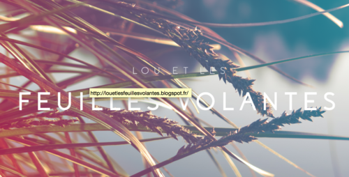 Lou et les feuilles volantes 