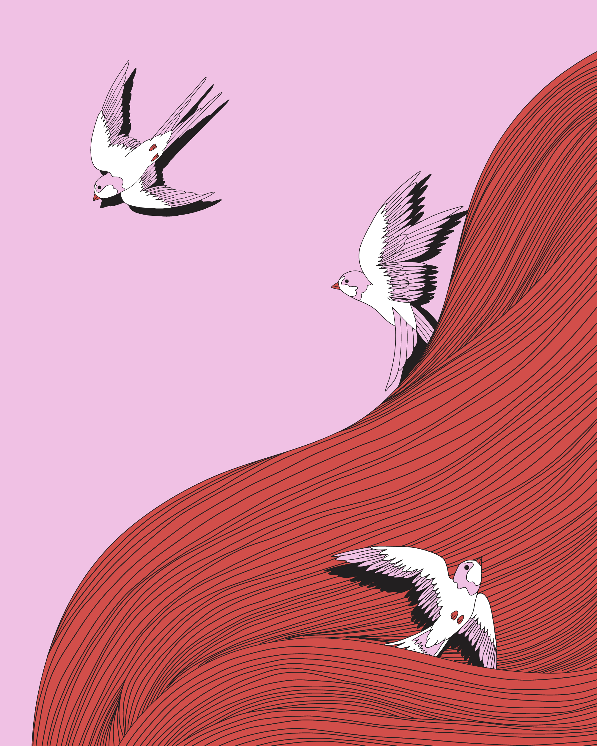 CHEVEUX%2BOISEAUX.png