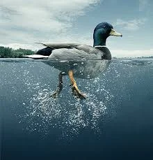 If you think providing excellent customer service is easy - think again.