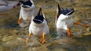 3 ways to reduce a big BUT