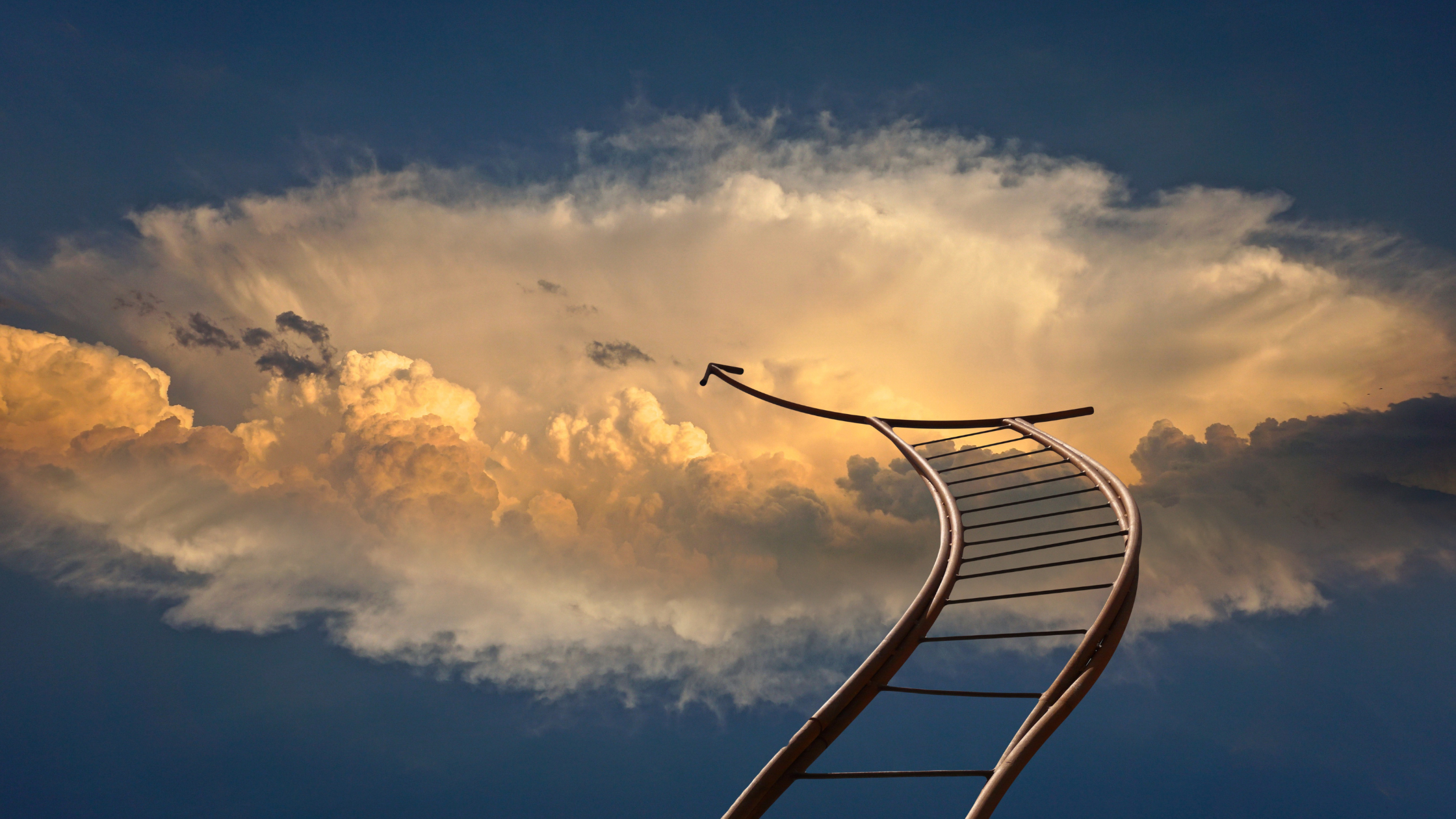 Going Above and Beyond: The Art of Great Service 