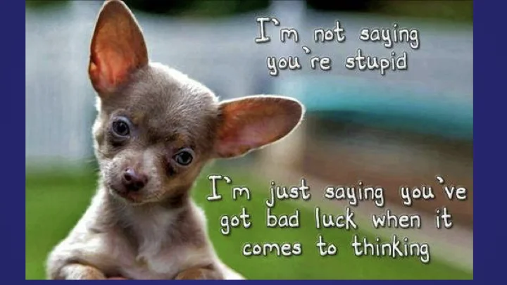 Questions of Jesus Kerikeri Baptist 2.004.jpeg