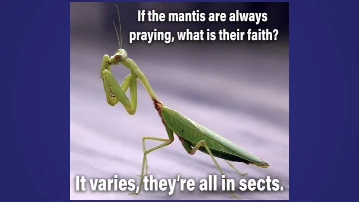 Baptist KerikeriJohn 5 4 Witnesses.002.jpeg