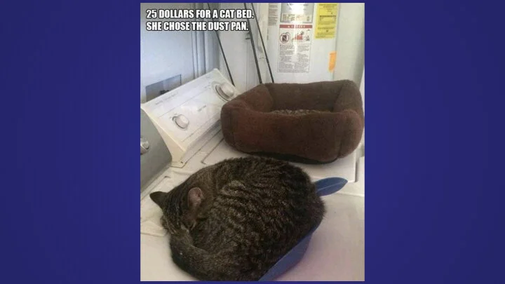 Baptist KerikeriJohn 5 4 Witnesses.007.jpeg