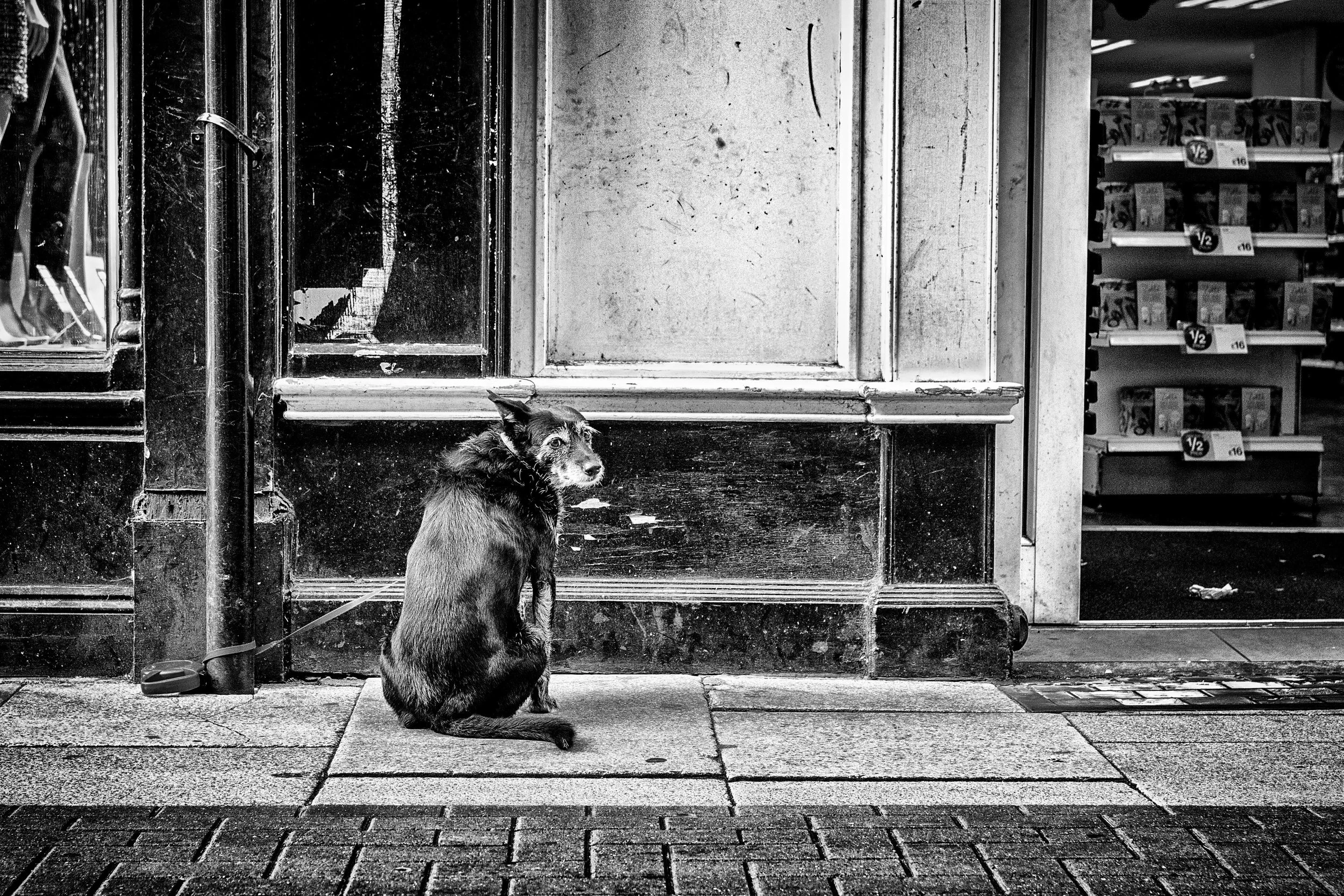 Wary.
