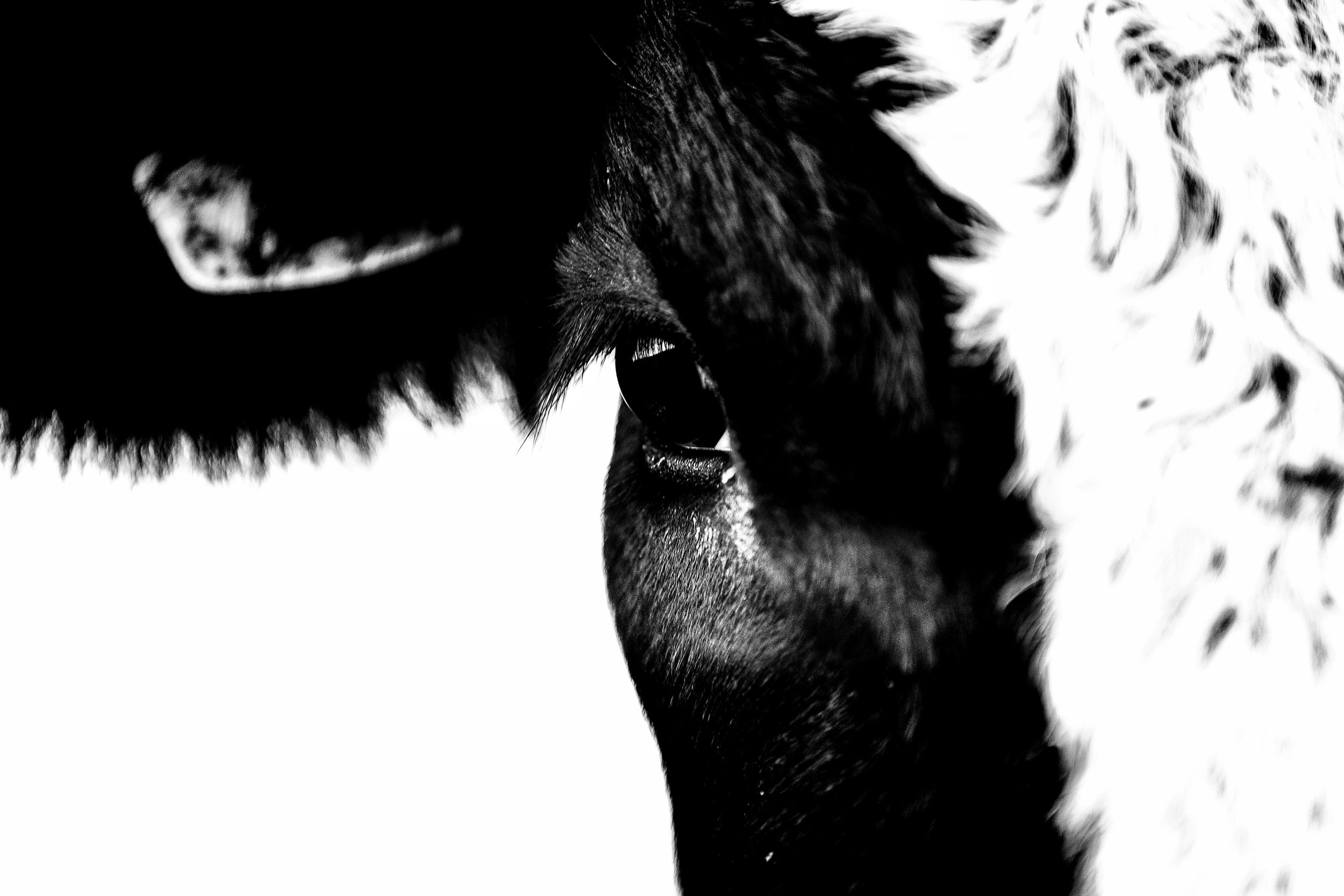 Eye.