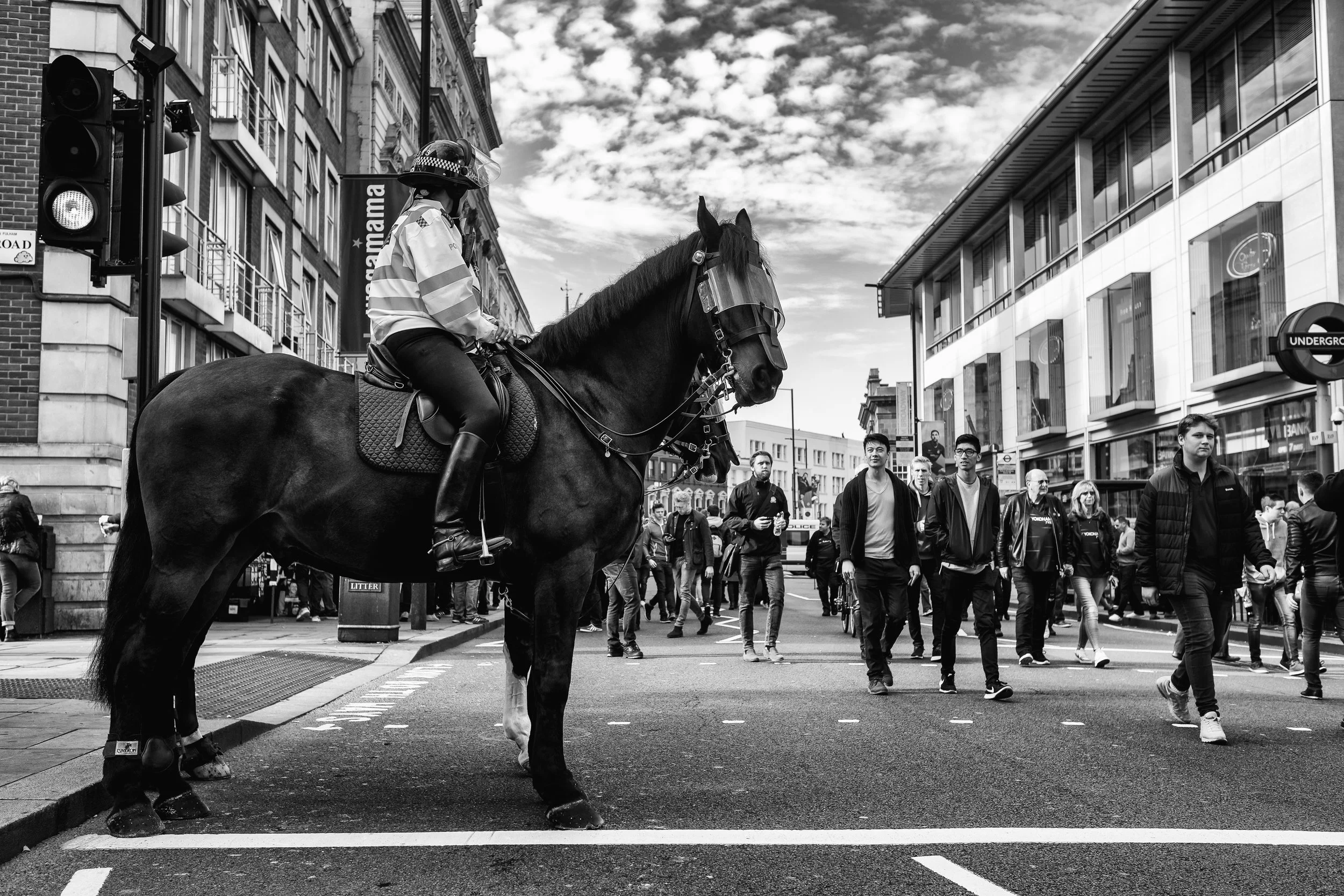 Horse On Broadway
