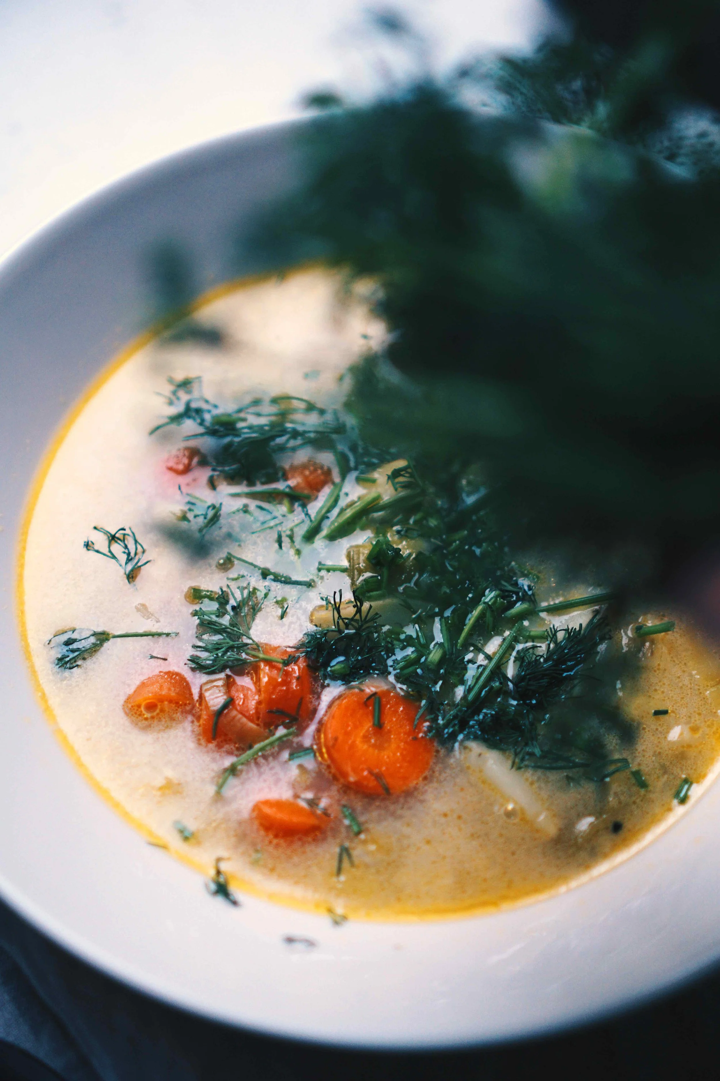 Close up of the soup.