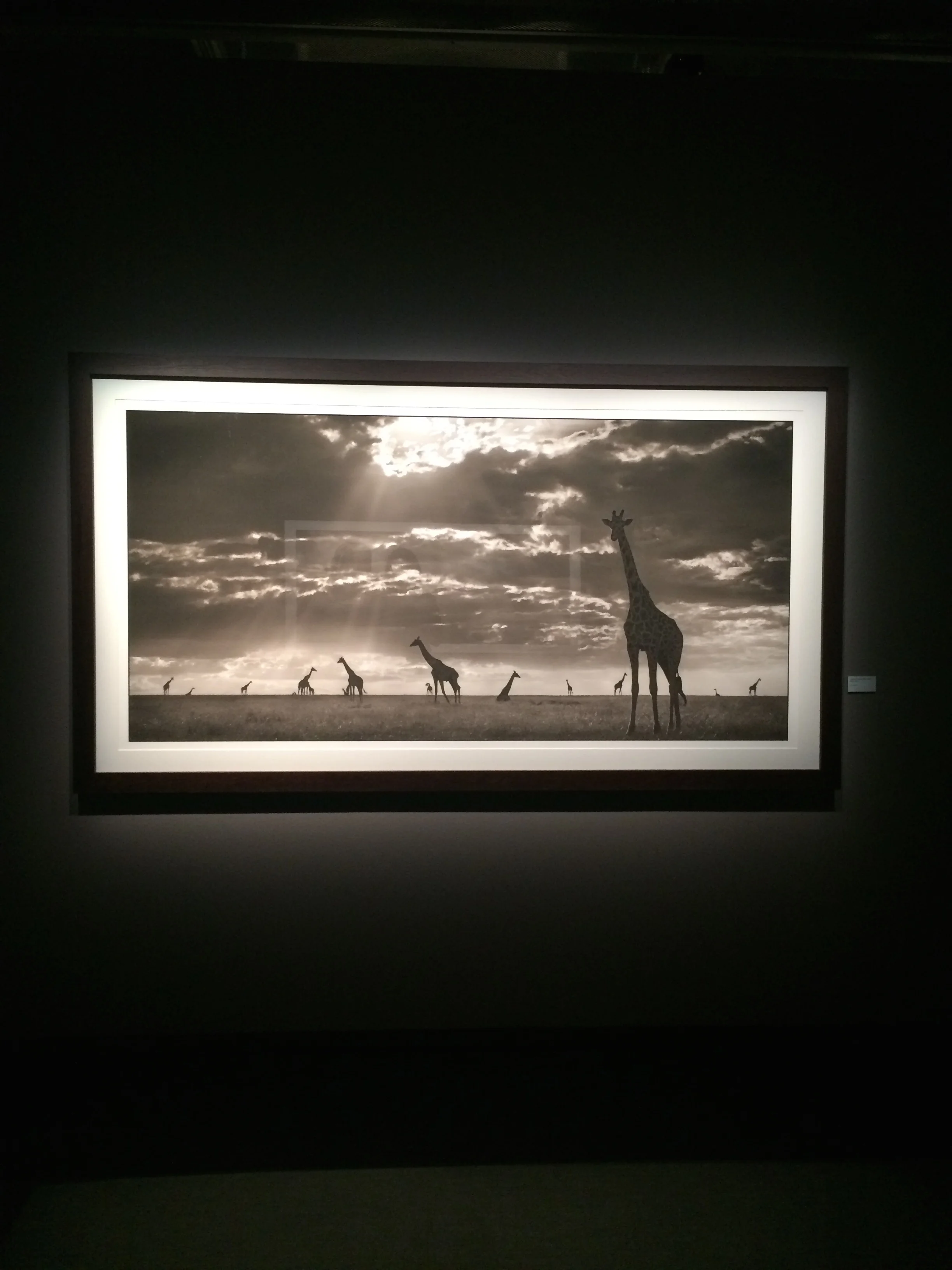 Photo at Fotografiska.