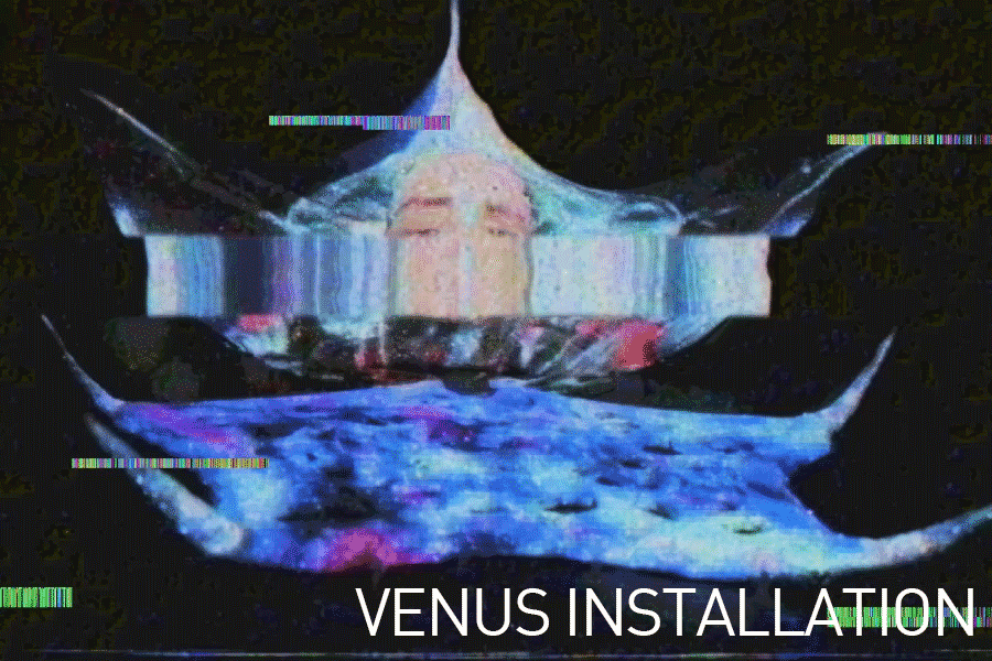 Venus-Installation.gif